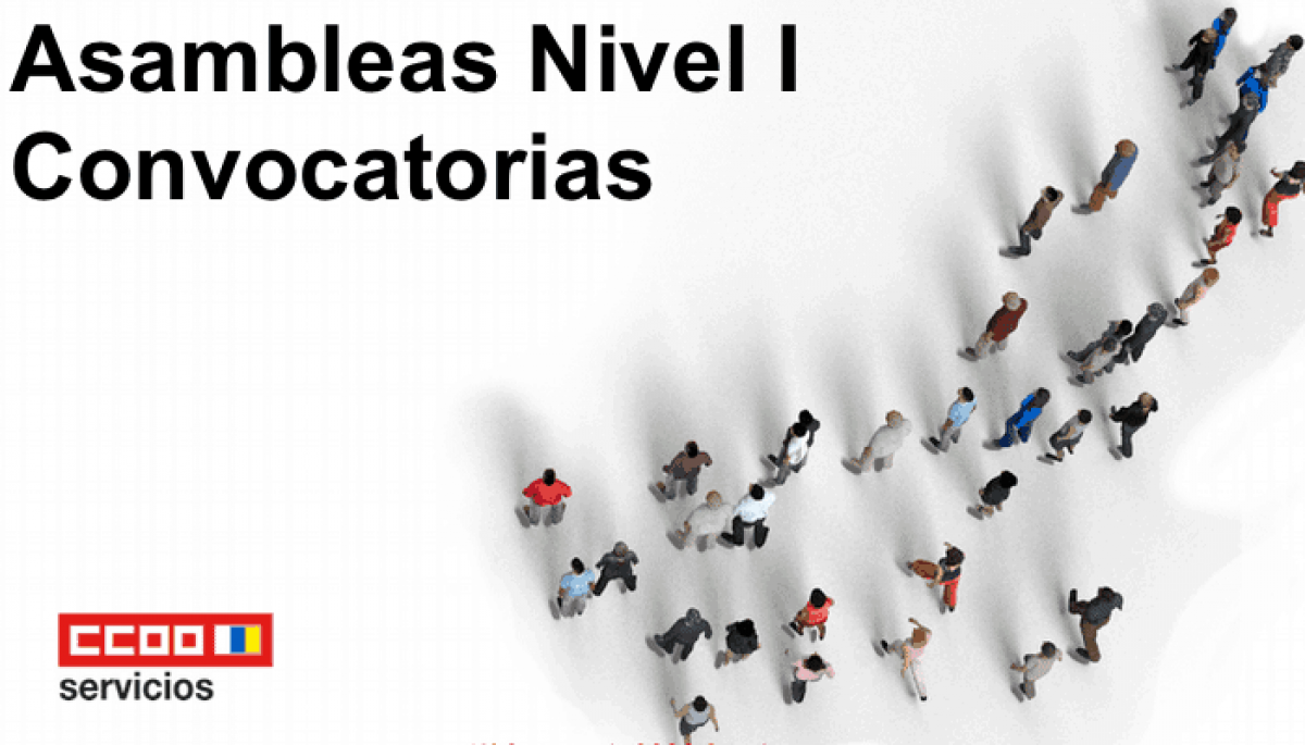 Asambleas nivel I Canarias